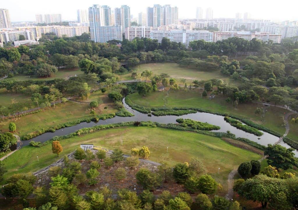 3 Best Public Parks in Ang Mo Kio For Running Trails and Picnic Spots