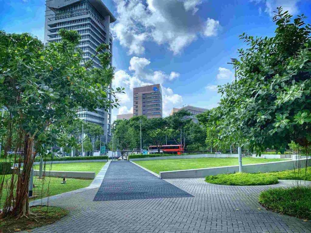 what to do at buona vista