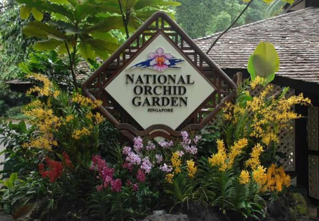 things to do in tanglin National Orchid Garden